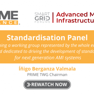 Advanced Metering Infrastructure 2021 – Standardisation Panel