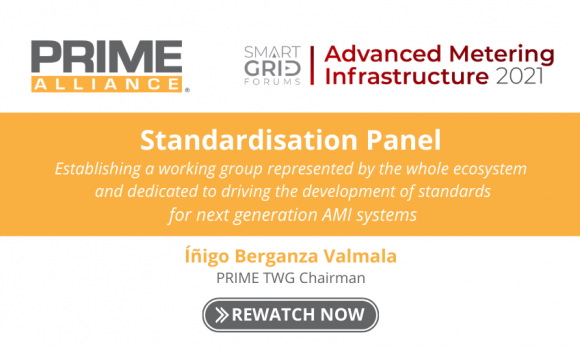 Advanced Metering Infrastructure 2021 – Standardisation Panel