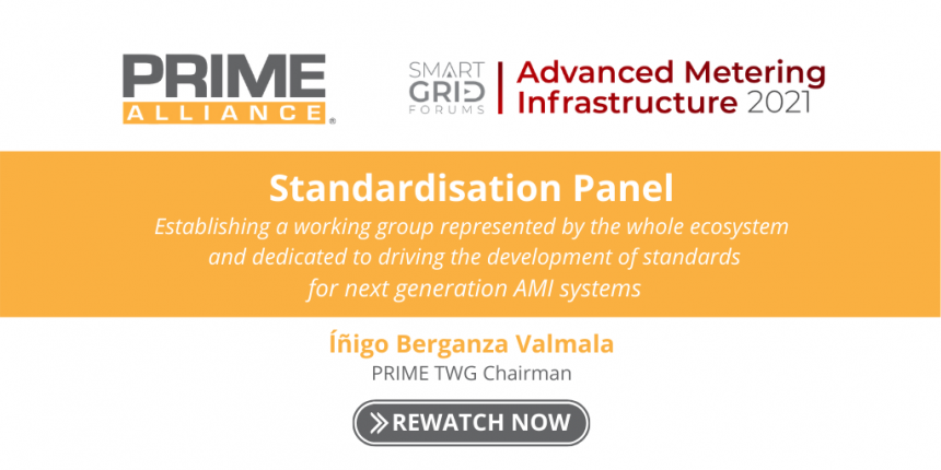 Advanced Metering Infrastructure 2021 – Standardisation Panel