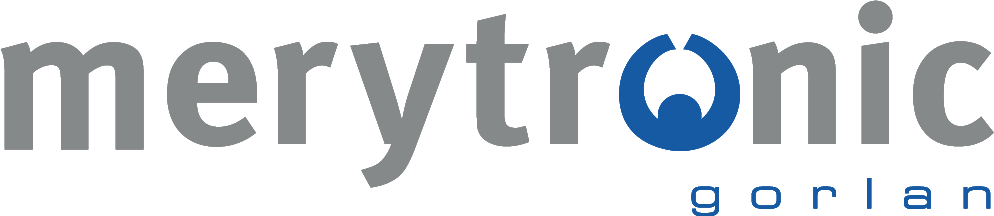 logo Merytronic HQ