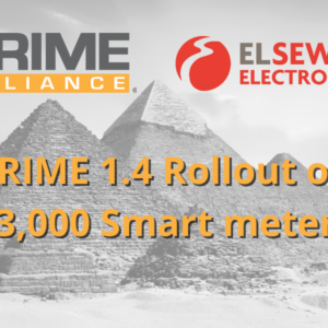 PRIME 1.4 Roll-out of 63,000 Smart Meters in Egypt