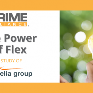 PRIME Alliance, an example of success story in Spain – Elia Group Study