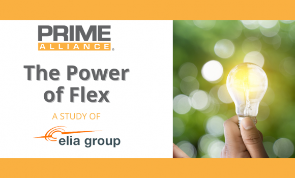 PRIME Alliance, an example of success story in Spain – Elia Group Study