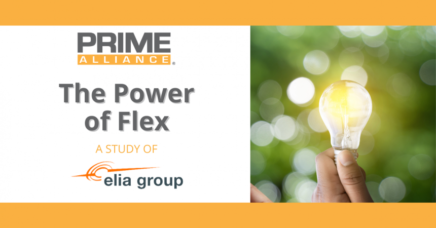 PRIME Alliance, an example of success story in Spain – Elia Group Study